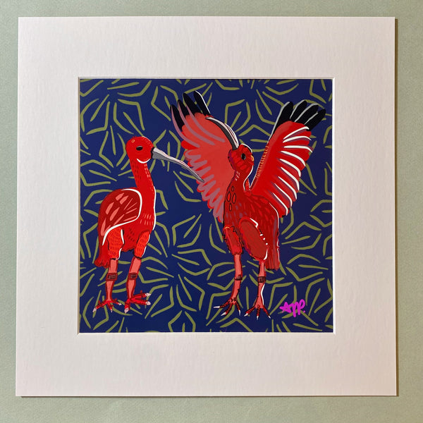 "Red Ibis." Matted Print