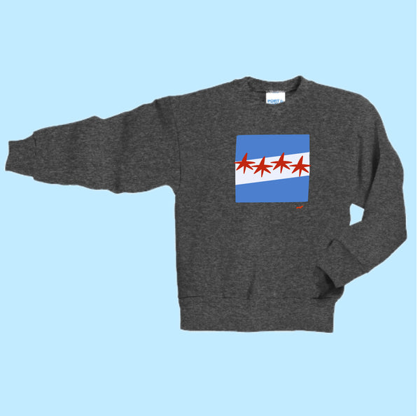 "Chicago Flag." Hand Pressed Graphic Art Sweatshirt (Youth)