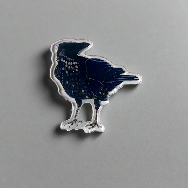 Acrylic Pin (Raven)