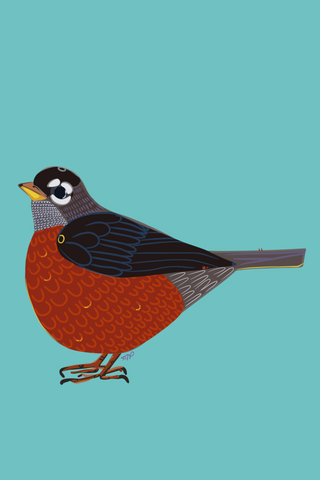 "Robin." Matted Print