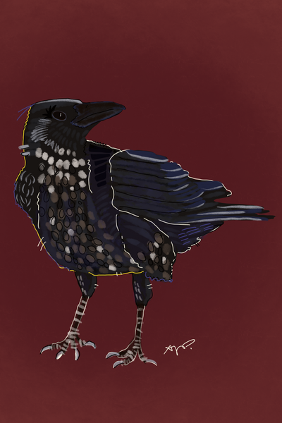 Raven Greeting Card