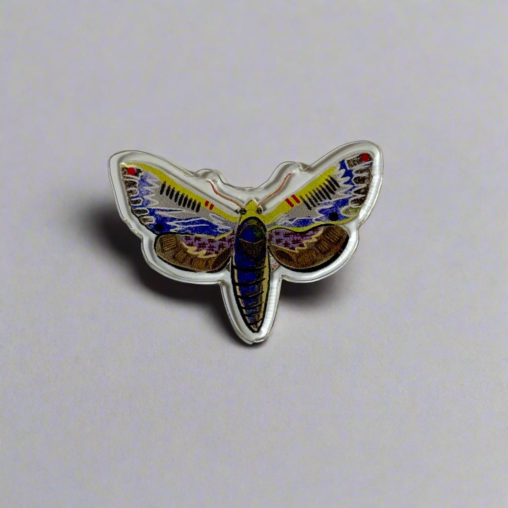 Sphinx Moth Pin Acrylic Pin (Moth) – The Doodle Shop