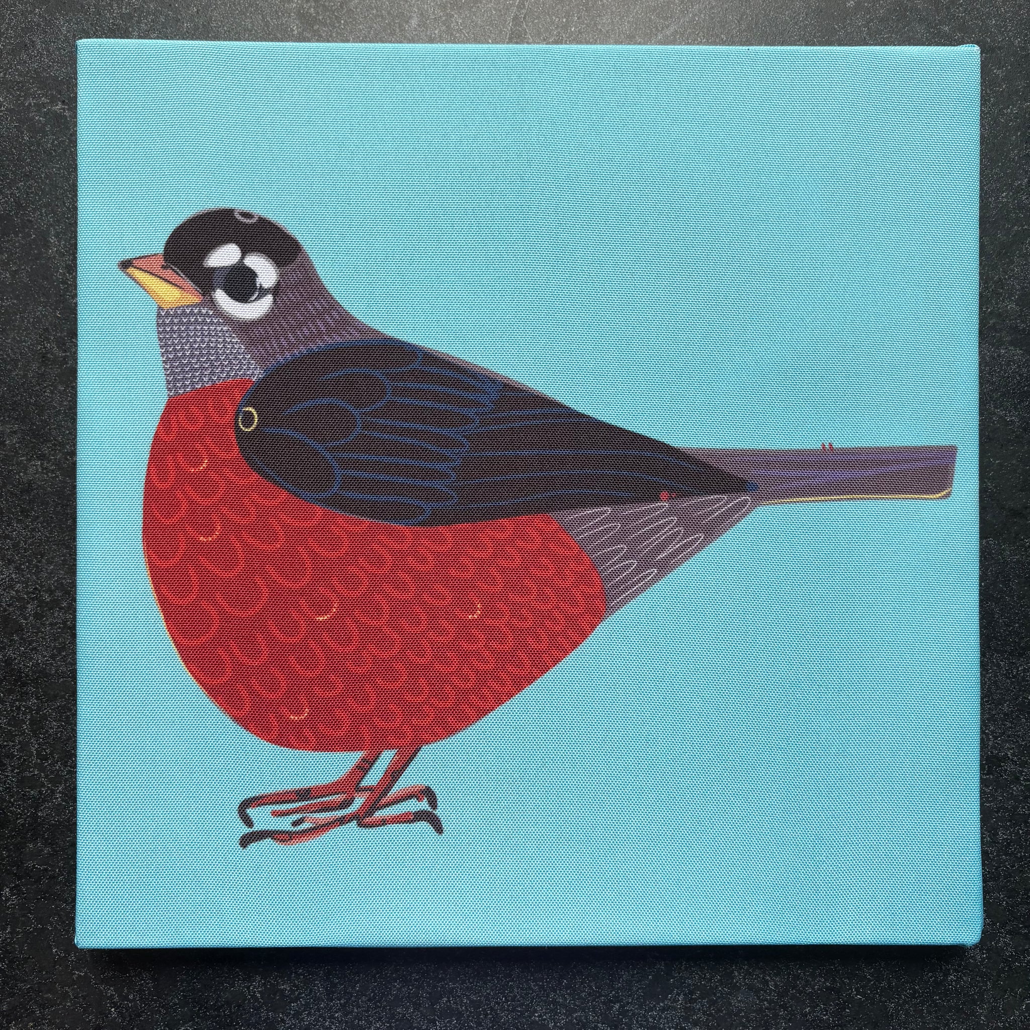 "Robin." 12x12 Canvas Print