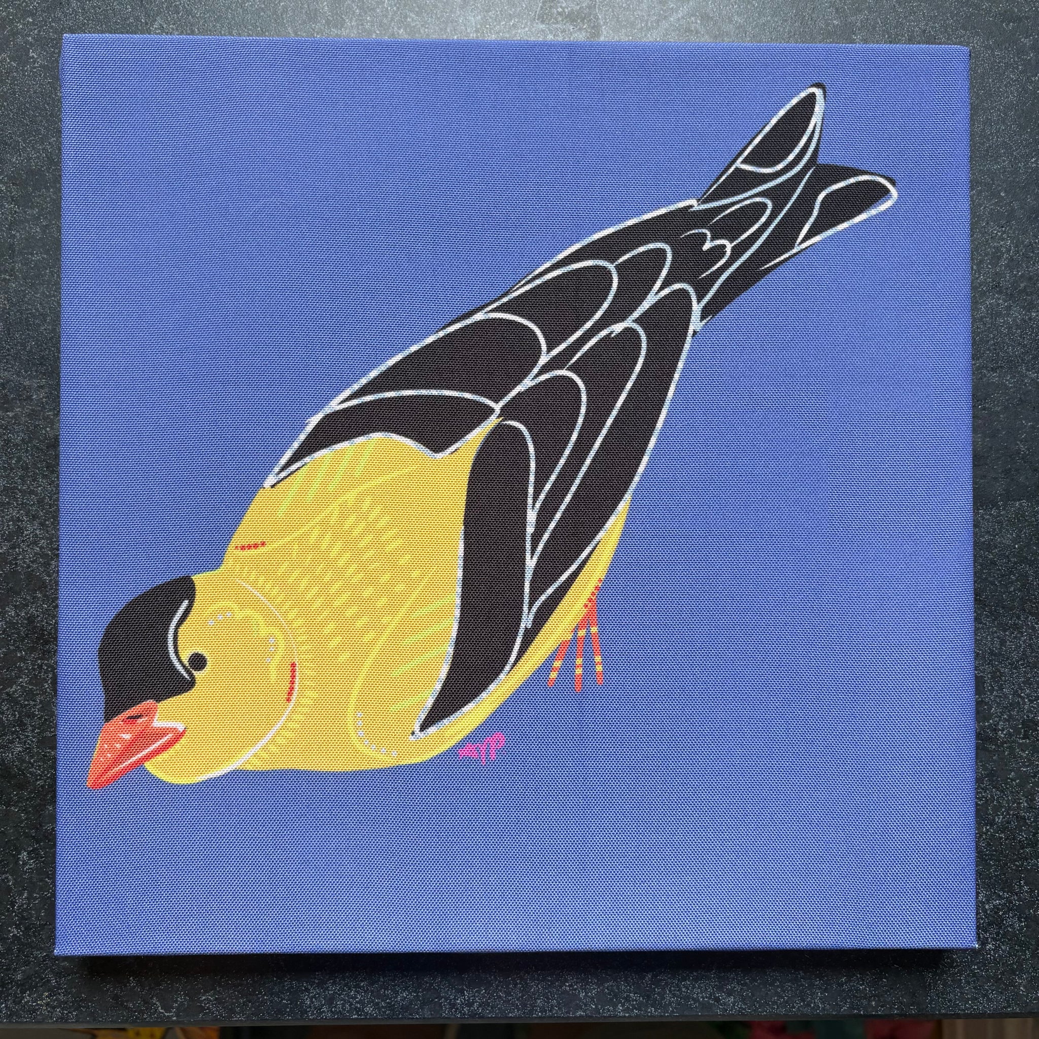 "Goldfinch." 12x12 Canvas Print