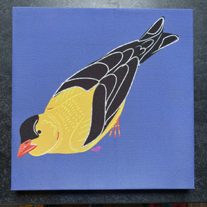 "Goldfinch." 12x12 Canvas Print