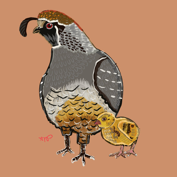 "Quail." Matted Print